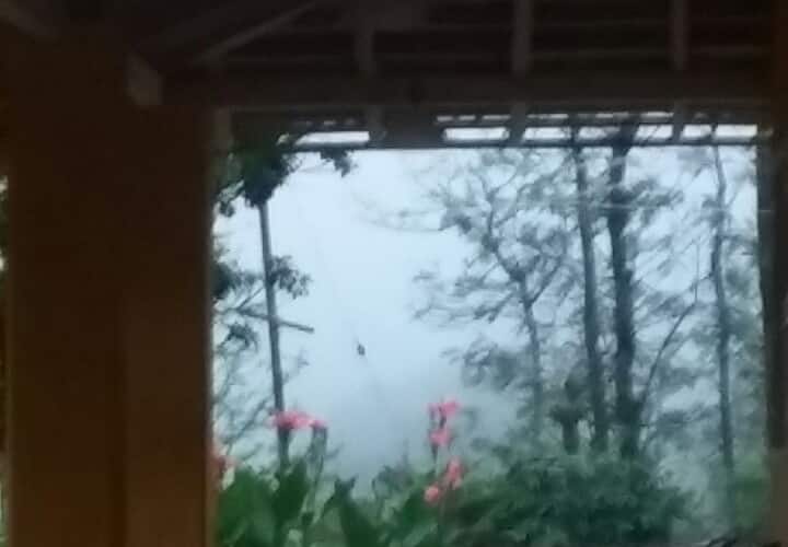 Green Rose Home stay , QHALANDARi Khizer Coffee Estate, Chikmaglur 1